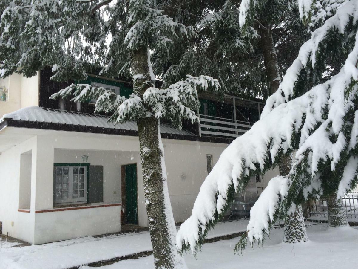 קמיליאטלו סילאנו Villa Capuano B&B מראה חיצוני תמונה