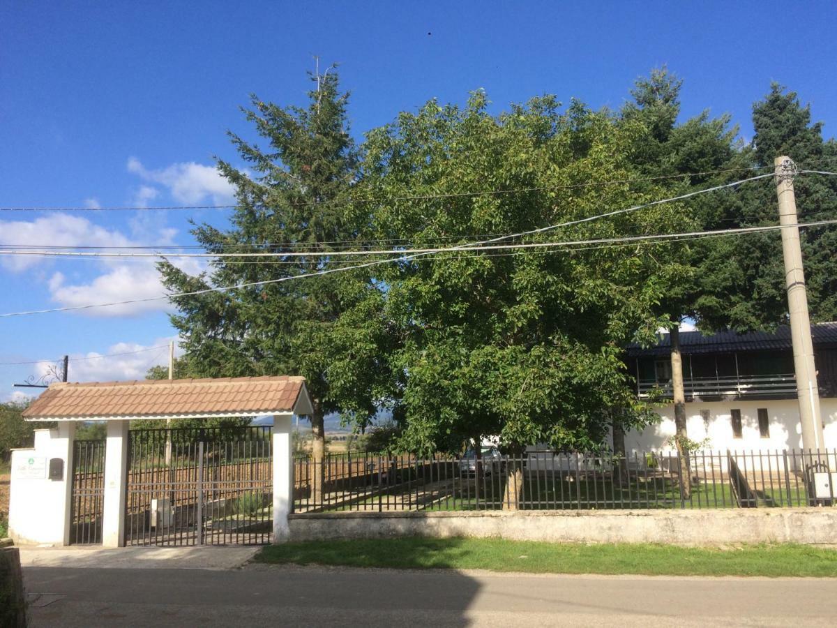קמיליאטלו סילאנו Villa Capuano B&B מראה חיצוני תמונה